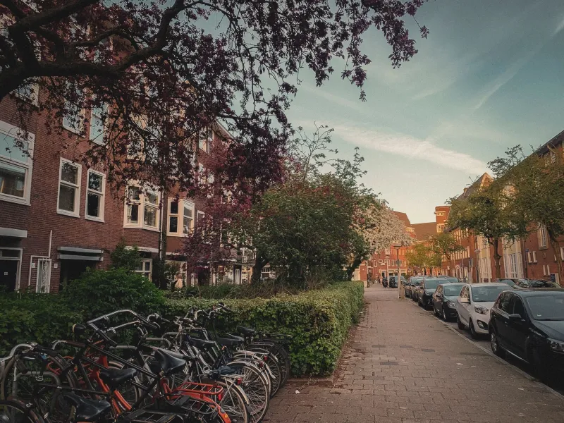Groen ademen in de stad: de beste parkjes en tuinen die echte Amsterdammers kennen